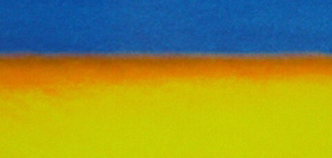 Need to vet your growth plan?